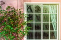 Glass door with condensation and a tree, high humidity. Texture of water on a glass. Royalty Free Stock Photo