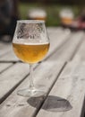 Glass of draught beer Royalty Free Stock Photo
