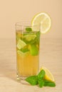 Glass with drink is decorated of lemon slice Royalty Free Stock Photo