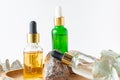 Glass dropper bottles with cosmetic oil, essential oil or serum on stone stand with branch eucalyptus Herbal homeopathic products Royalty Free Stock Photo