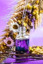 Glass dropper with a drop of cosmetic oil and dried flowers and herbs on purple background. Natural organic herbal skin care oil, Royalty Free Stock Photo