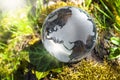 Glass earth on gras Royalty Free Stock Photo