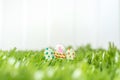 Glass easter eggs on green grass field at white fence in backyard garden. happy easter day concept.leave sapce for adding