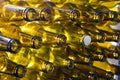 Glass empty beer bottles lie in rows, open the necks on the camera, one bottle with a cap