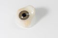 Glass eye prosthetic or Ocular prosthesis with shadow on white