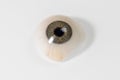 Glass eye prosthetic or Ocular prosthesis with shadow on white