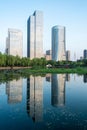 Glass Facade High?Rises Reflected in Willow?Framed Waterfront Royalty Free Stock Photo