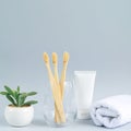 Glass with family set of bamboo toothbrashes toothpaste towel and plant