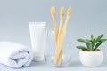 Glass with family set of eco bamboo toothbrashes next to toothpaste towel and plant