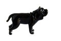 Glass figurine of the dog Royalty Free Stock Photo