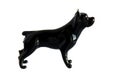 Glass figurine of the dog Royalty Free Stock Photo