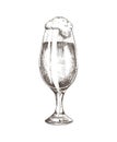 Glass Filled with Beer Sketch Vector Illustration
