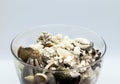 Glass Filled with Seashells, Corals and Beach Sand in White Background Royalty Free Stock Photo