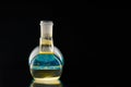 Glass flask with a chemical reagent. Royalty Free Stock Photo