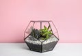 Glass florarium with different succulents on table against color Royalty Free Stock Photo