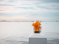 Glass flower pot with orange flower on calm sea and sunset sky background. Royalty Free Stock Photo