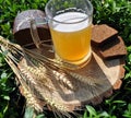 A glass of foamy bright clear beer with spikelets and bread