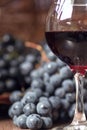 A glass of fragrant red wine and bunches of blue grapes Royalty Free Stock Photo