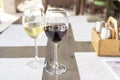 a glass of fragrant white and a glass of ruby red wine on a wooden table in a restaurant Royalty Free Stock Photo