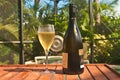 Glass of French champaign, in fluted glass, with a champign bottle