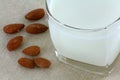 A glass of fresh Almond Milk