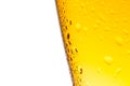 Glass of fresh beer with drops on white background Royalty Free Stock Photo