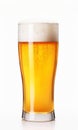 Glass of fresh bright Lager Beer