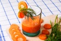 Glass of fresh carrot juice, dill sprigs, sliced carrots Royalty Free Stock Photo