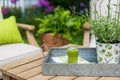 Glass of fresh celery juice and a potted plant on an outdoor table in summer Royalty Free Stock Photo