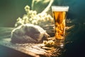 Glass of fresh cold beer in rustic setting. Food and beverage ba Royalty Free Stock Photo