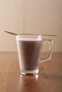 Glass of fresh drinking chocolate Royalty Free Stock Photo