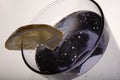 Close up detail glass of pure water with lemon Royalty Free Stock Photo