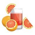 A glass of fresh grapefruit juice. Vitamin refreshing cocktail with fruit. Vector illustration of a drink