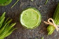 A glass of fresh green barley grass juice with barleygrass blades Royalty Free Stock Photo