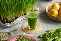 A glass of fresh green barley grass juice with celery and lemon Royalty Free Stock Photo
