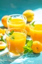 Glass of fresh healthy apricot juice in sunny light Royalty Free Stock Photo