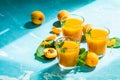 Glass of fresh healthy apricot juice in sunny light Royalty Free Stock Photo