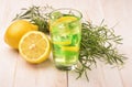 Glass of fresh homemade lemonade with tarragon and lemon Royalty Free Stock Photo