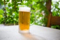 Glass with fresh lager beer. Royalty Free Stock Photo