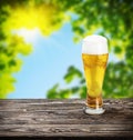 Glass of fresh lager beer Royalty Free Stock Photo