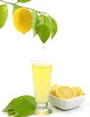 Glass of a fresh lemon juice Royalty Free Stock Photo