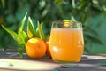Glass of fresh mandarin juice