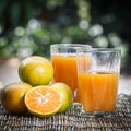 Glass of fresh orange juice Royalty Free Stock Photo