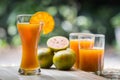 Glass of fresh orange juice Royalty Free Stock Photo