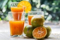 Glass of fresh orange juice Royalty Free Stock Photo