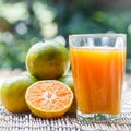 Glass of fresh orange juice Royalty Free Stock Photo