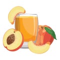 A glass of fresh peach juice. Vitamin refreshing cocktail with fruit. Vector illustration of a drink