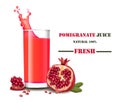 A glass of fresh pomegranate juice with splash Vector realistic illustrations mock up Royalty Free Stock Photo