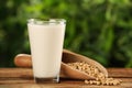 Glass with fresh soy milk and grains on white wooden table against blurred background. Space for text Royalty Free Stock Photo
