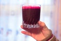 Glass of Fresh Squeezed Raw Beet Juice Royalty Free Stock Photo